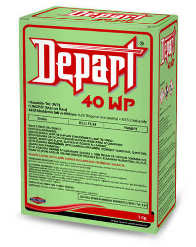 DEPART 40 WP