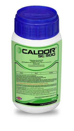 CALDOR SC 500