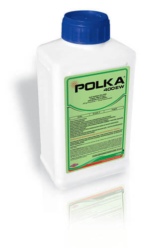 POLKA 400 EW