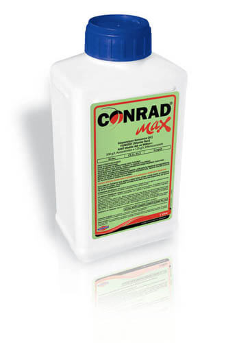 CONRAD MAX     