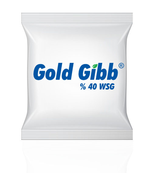 GOLD GİBB  40 WSG