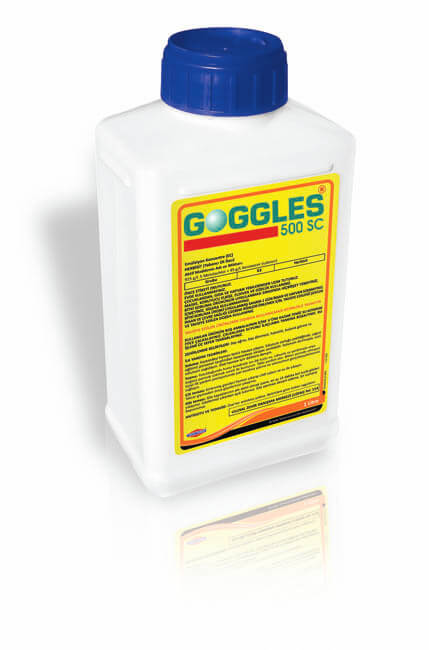 GOGGLES 500 SC