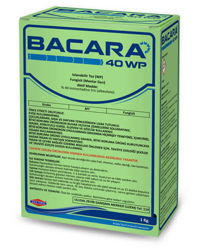 BACARA 40 WP