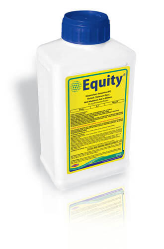 EQUITY