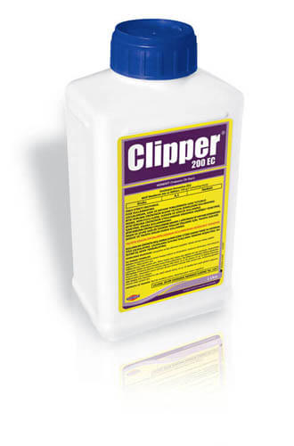 CLİPPER 200 EC