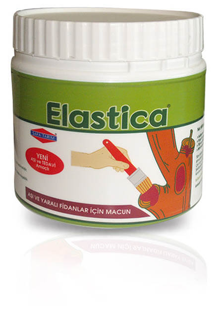 ELASTİCA