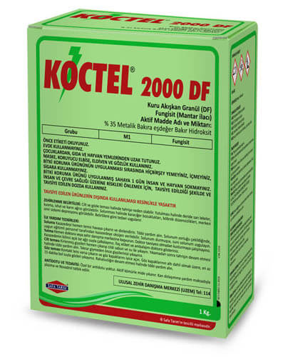 KOCTEL 2000 DF