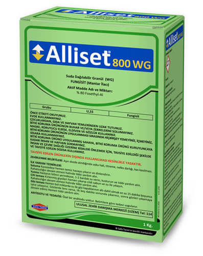 ALLİSET 800 WG