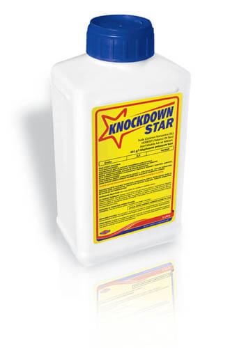 KNOCKDOWN STAR