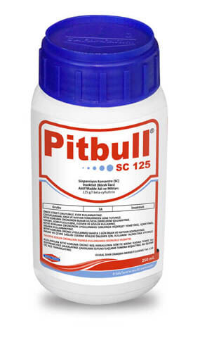 PİTBULL SC 125