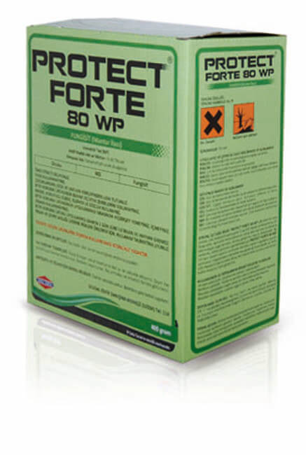 PROTECT-FORTE  80 WP