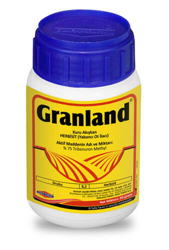 GRANLAND