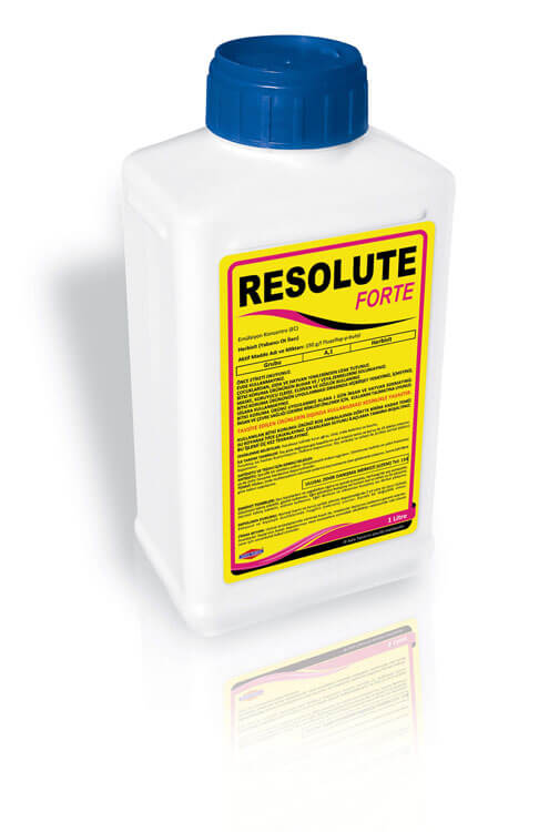 RESOLUTE FORTE