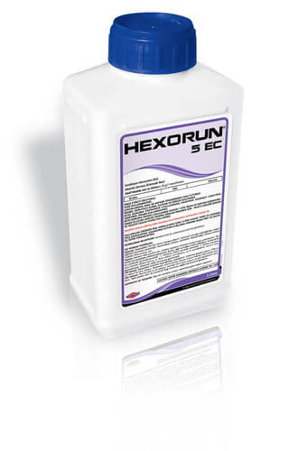 HEXORUN 5 EC
