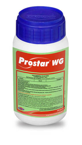 PROSTAR WG