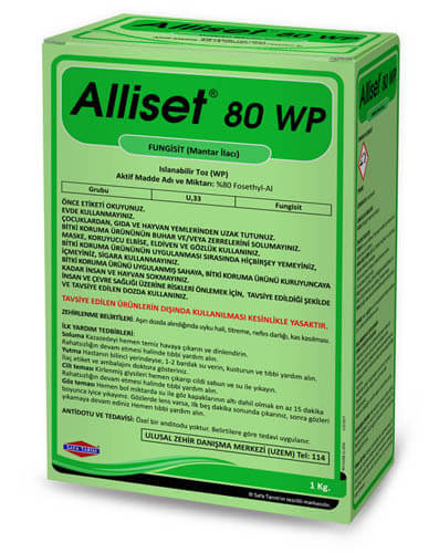 ALLİSET 80 WP