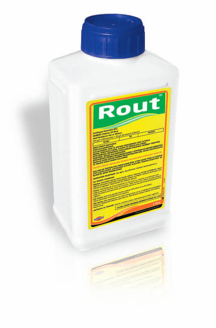 ROUT