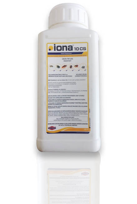 IONA 10 CS