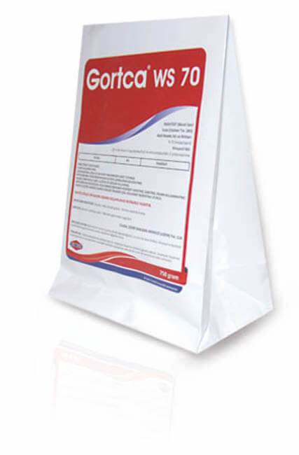 GORTCA WS 70